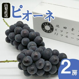 【ふるさと納税】＜2024年先行予約＞厳選!! 池田青果のピオーネ　1.0kg　2房 ふるさと納税 ピオーネ 笛吹市 国産 人気 期間限定 ぶどう ブドウ 葡萄 果物 フルーツ 173-008