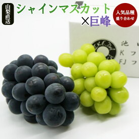 【ふるさと納税】＜2024年先行予約＞厳選!! 池田青果の【大人気ぶどう2種盛り合わせ】シャインマスカット・巨峰 or ピオーネ（1.0kg） ふるさと納税 シャインマスカット 巨峰 ピオーネ 笛吹市 国産 人気 期間限定 ぶどう ブドウ 葡萄 果物 フルーツ 173-002