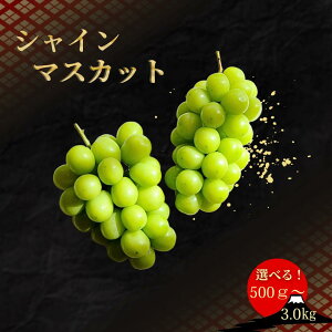 yӂ邳Ɣ[Łz25Ny2026Ns\zJsYIVC}XJbg yIׂe500gz t[c卑IRJsYn ӂ邳Ɣ[  L