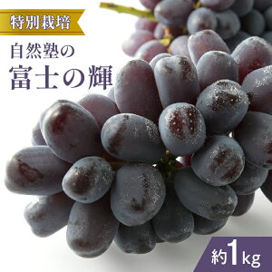 yӂ邳Ɣ[Łzy2026Ns\zwʍ͔|xRm̕xm̋P1kg ӂ邳Ɣ[  LO xm̋P Js Y lC Ԃǂ uhE  { ʕ t[c R 