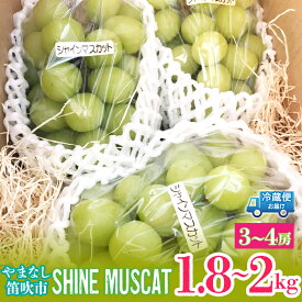 【ふるさと納税】【2026年発送★先行予約】シャインマスカット1.8～2kg（3～4房） ふるさと納税 おすすめ ランキング シャインマスカット 笛吹市 国産 人気 期間限定 ぶどう ブドウ 葡萄 旬 果物 フルーツ デザート 山梨県 送料無料 214-003