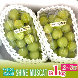【ふるさと納税】【2026年発送★先行予約】シャインマスカット約1kg（2-3房入） ふるさと納税 おすすめ ランキング シャインマスカット 笛吹市 国産 人気 期間限定 ぶどう ブドウ 葡萄 旬 果物 フルーツ デザート 山梨県 送料無料 214-004