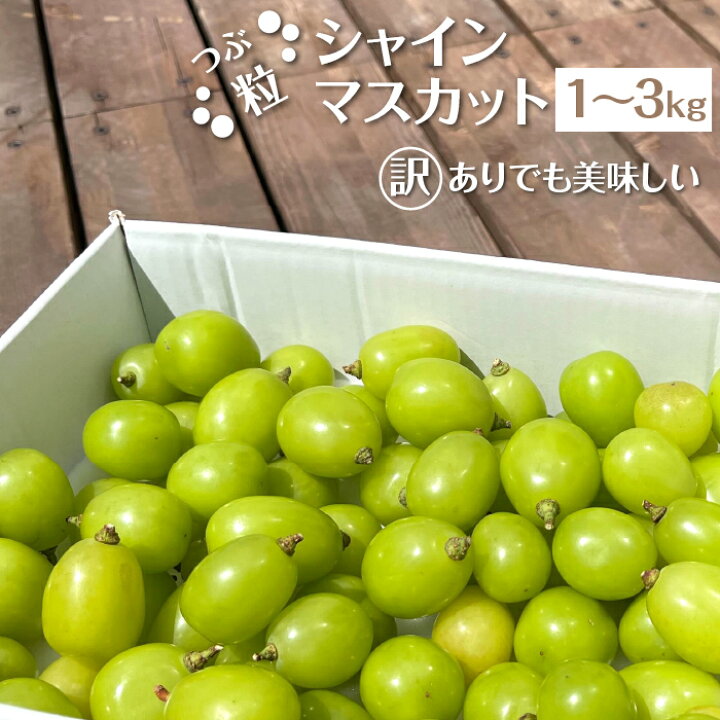 楽天市場】【ふるさと納税】＜25年発送先行予約＞訳あり！ シャイン  