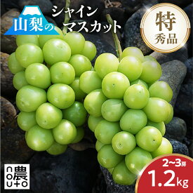 【ふるさと納税】【2026年発送★先行予約】シャインマスカット 約1.2kg 2〜3房 ※クール便 154-007 | フルーツ 果物 高評価 人気 ランキング おすすめ 甘い 美味しい デザート 数量限定 送料無料 山梨県産 笛吹市　種なしぶどう 「販売」 KEIPE株式会社