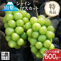楽天市場】山梨 シャインマスカット 3kgの通販