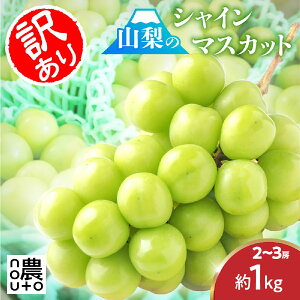 �y�ӂ邳�Ɣ[�Łz�y2026�N��������s�\��z�y�󂠂�z �V���C���}�X�J�b�g 2�[�`3�[�i1kg�ȏ�j 154-027 | �s���� ������p ���ƒ�p �t���[�c �ʕ� ���]�� �l�C �����L���O �������� �Â� ����