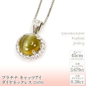 yӂ邳Ɣ[Łzv`i@LbcAC@_C@lbNX@Ǘԍ254702@×1{ ӂ邳Ɣ[ lC  LO ANZT[  WG[  LO v[g R