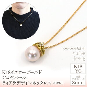 yӂ邳Ɣ[ŁzK18CG[S[h@ARp[8mm@eBAfUC@lbNX@Ǘԍ253970 ӂ邳Ɣ[ lC  LO ANZT[  WG[  LO 