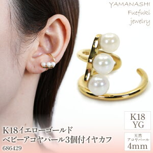 yӂ邳Ɣ[ŁzK18CG[S[h xr[ARp[3t CJt Ǘԍ686429 ӂ邳Ɣ[  lC  LO ANZT[  WG[  LO v[g 