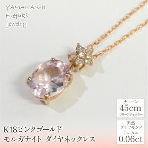 yӂ邳Ɣ[ŁzK18sNS[h@@KiCg@_C@lbNX Ǘԍ255015 ӂ邳Ɣ[ lC  LO ANZT[  WG[  LO v[g R