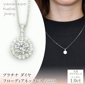 yӂ邳Ɣ[Łzv`i _C1.0ct t[fBAlbNX Ǘԍ255144 ӂ邳Ɣ[ lC  LO ANZT[ lbNX y_g  WG[  LO v