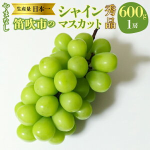 yӂ邳Ɣ[Łzy2026Ns\zy2026N8{`zR@JY@VC}XJbg@600gi1[jGi ӂ邳Ɣ[  LO VC}XJbg Js