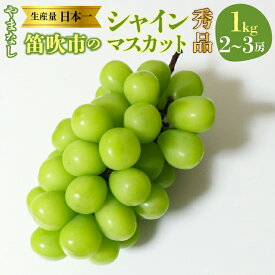 【ふるさと納税】【2026年発送★先行予約】【2026年8月下旬～順次発送】山梨県　笛吹産　シャインマスカット　1kg（2〜3房）秀品 ふるさと納税 おすすめ ランキング シャインマスカット 笛吹市 国産 人気 期間限定 ぶどう ブドウ 葡萄 旬 果物 フルーツ 山梨県 215-007
