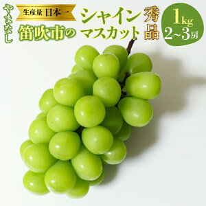 yӂ邳Ɣ[Łzy2026Ns\zy2026N8{`zR@JY@VC}XJbg@1kgi2`3[jGi ӂ邳Ɣ[  LO VC}XJbg J