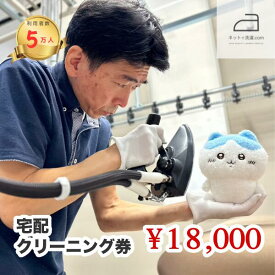 【ふるさと納税】ネットで洗濯クリーニング券18,000円分 ふるさと納税 クリーニング ビジネスバッグ ぬいぐるみ ダウン スノーウェア 笛吹市 キャップ ハット ヘルメット ゴアテックス 山梨県 166-006