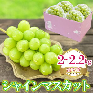 �y�ӂ邳�Ɣ[�Łz��25�N�������y2026�N��������s�\��z �V���C���}�X�J�b�g 500g-4kg�ȏ� �I�ׂ�e�� (����E�����z���s��) �Ԃǂ� ���� �l�C ���� �M�t�g ���� ���~ �A�� �{ �ʕ� �t���[�c �R