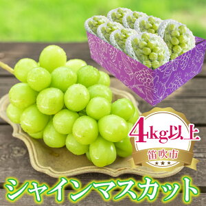 yӂ邳Ɣ[Łz25Ns\ VC}XJbg 500g-4kgȏ Iׂe 2025N (Ezs) Ԃǂ  lC  Mtg  ~ A { ʕ t[c R R