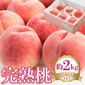 yӂ邳Ɣ[Łzy2026Ns\zn@2kg ӂ邳Ɣ[  LO   Js Y lC Ԍ ʕ  t[c fU[g  s[` { j 