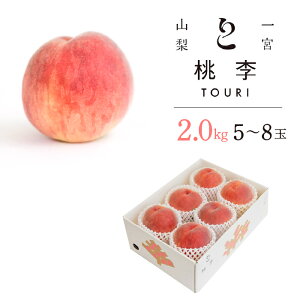 yӂ邳Ɣ[Łzy2026Ns\zR{Y@̂VN@2.0kg (5`8ʁj ӂ邳Ɣ[ lC  LO   Js Y lC Ԍ ʕ t[c { R 