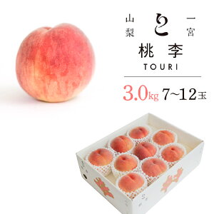 yӂ邳Ɣ[Łzy2026Ns\zR{Y@̂VN@3.0kg (7`12ʁj ӂ邳Ɣ[ lC  LO   Js Y lC Ԍ ʕ t[c { R