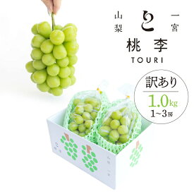 【ふるさと納税】【2026年発送★先行予約】【訳あり】シャインマスカット約1.0kg（1~3房） ふるさと納税 人気 おすすめ ランキング シャインマスカット 訳あり 国産 人気 期間限定 ぶどう ブドウ 葡萄 旬 果物 フルーツ 山梨県 笛吹市 送料無料 122-015