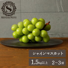 【ふるさと納税】＜25年発送＞【2026年発送★先行予約】「マルエス農園」シャインマスカット　2房〜3房　1.5kg以上 ふるさと納税 笛吹市 国産 人気 期間限定 旬 果物 フルーツ 山梨県 送料無料 216-001