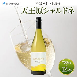 yӂ邳Ɣ[ŁzYOAKENO VVhl 750ml yIׂ{ 1{or12{z ӂ邳Ɣ[ŃC Vhl C  ʎ  Mtg v[g ӎ  ƈ Lv BBQ o[x