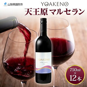 yӂ邳Ɣ[ŁzYOAKENO V}Z 750ml yIׂ{ 1{or12{z ӂ邳Ɣ[ŃC }Z ԃC  ʎ  Mtg v[g ӎ  ƈ Lv BBQ o[x