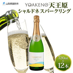 yӂ邳Ɣ[ŁzYOAKENO V Vhl Xp[NO 720ml yIׂ{ 1{ or 12{ z ӂ邳Ɣ[ŃC Vhl Xp[NOC  ʎ Mtg v[g BBQ o[xL