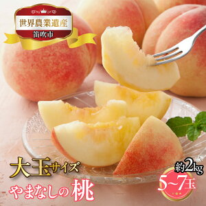 yӂ邳Ɣ[Łzy2026Ns\zRJsY@ʓ@2kg@5ʁ`7ʁ@ʃTCY ӂ邳Ɣ[   Js Y lC Ԍ ʕ t[c { R  223-001-2