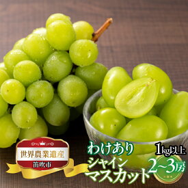 【ふるさと納税】＜2025年発送＞山梨県笛吹市産　訳ありシャインマスカット　1kg以上　2房から3房 ふるさと納税 ぶどう シャインマスカット 笛吹市 国産 人気 訳あり 期間限定 果物 フルーツ 旬 山梨県 送料無料 223-008