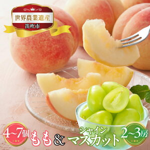 �y�ӂ邳�Ɣ[�Łz����ׂ�R�����J���s�Y �����E�Ԃǂ��l���� 3kg�ӂ邳�Ɣ[�� �l�C �������� �����L���O ���� �� �V���C���}�X�J�b�g ���� ���Y �l�C �ʕ� �t���[�c �M�t�g ���蕨 �{ �R��