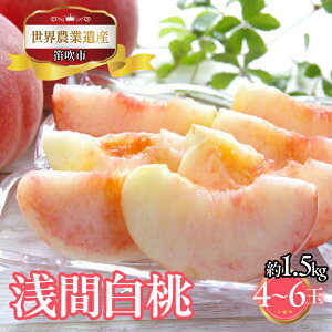 yӂ邳Ɣ[Łzy2026Ns\zRJsY@Ԕ@1.5kg@4ʁ`6 223-022