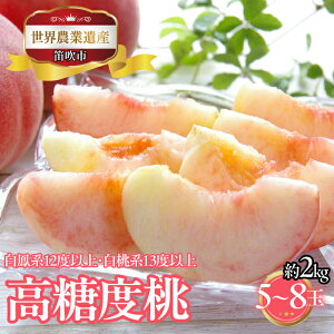 yӂ邳Ɣ[Łzy2026Ns\zRJsY@x(Pn12xȏEn13xȏ)@2kg@5ʁ`8 223-024