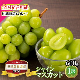【ふるさと納税】【2026年発送★先行予約】山梨県笛吹市産　シャインマスカット1房 600g ふるさと納税 ぶどう シャインマスカット 笛吹市 国産 人気 期間限定 果物 フルーツ 旬 山梨県 送料無料 223-026