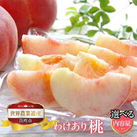 【ふるさと納税】【2026年発送★先行予約】山梨県笛吹市産 ご家庭用桃（わけあり）【選べる容量】ふるさと納税 もも 桃 笛吹市 訳あり 国産 人気 期間限定 果物 フルーツ 旬 山梨県 送料無料　223-015 / 223-011 / 223-016