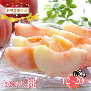 yӂ邳Ɣ[Łzy2026Ns\zRJsY ƒpi킯jyIׂeʁzӂ邳Ɣ[   Js 󂠂 Y lC Ԍ ʕ t[c { R 