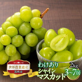 【ふるさと納税】【2026年発送★先行予約】山梨県笛吹市産　わけありシャインマスカット　2kg　3房～7房 ふるさと納税 人気 おすすめ ランキング もも 桃 シャインマスカット 国産 人気 期間限定 果物 フルーツ ギフト 贈り物 プレゼント 旬 山梨県 笛吹市 送料無料 223-017