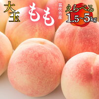 ふるさと納税 桃 もも 大玉 笛吹市 国産 人気 期間限定 果物 フルーツ...