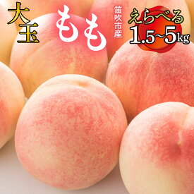 【ふるさと納税】【2026年発送★先行予約】 笛吹市産　大玉もも 【選べる容量】 ふるさと納税 桃 もも 大玉 笛吹市 期間限定 フルーツ 旬 特選 産地直送 新鮮 朝どれ プレゼント 贈答 ギフト 山梨県 送料無料 227-007