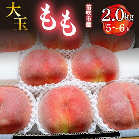 【ふるさと納税】＜25年発送先行予約＞ 笛吹市産　大玉もも 【選べる容量】 ふるさと納税 桃 もも 大玉 笛吹市 国産 人気 期間限定 果物 フルーツ 旬 特選 産地直送 新鮮 朝どれ おいしい プレゼント 贈答 ギフト 山梨県 送料無料 227-007