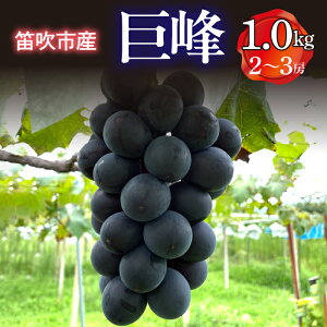 yӂ邳Ɣ[Łz 25Ns\ JsY  1.0kg(2`3[) ӂ邳Ɣ[ Ԃǂ  햳 n Js Y lC Â 傫 Ԍ ʕ  t[c uhE { Yn