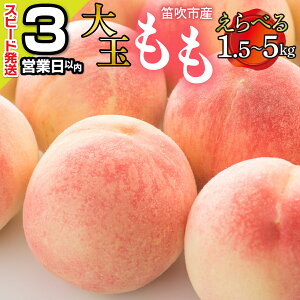 【ふるさと納税】★スピード発送 3営業日以内★＜25年発送＞ 笛吹市産　大...