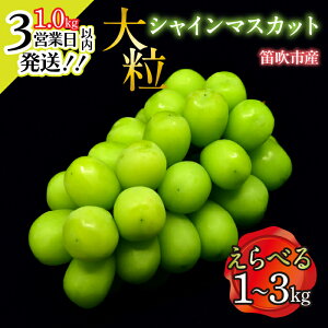 yӂ邳Ɣ[Łzy~VCXs[h3cƓȓ!!zy2026Ns\zJsY 嗱VC}XJbg Iׂ鐔 y1.0kg~3.0kgz ӂ邳Ɣ[ N Ԃǂ V