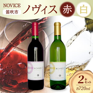 yӂ邳Ɣ[ŁzC NOVICE ԁ ݔ Zbg 720ml e1{ v2{ t{g bB }XJbg x[[A ~fBA h 쒆 R Js ӂ邳Ɣ[ C bB x[