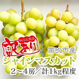 【ふるさと納税】【2026年発送★先行予約】【訳あり品】山梨県産シャインマスカット2房～4房(合計1kg程度) ふるさと納税 訳あり ぶどう シャインマスカット 笛吹市 国産 人気 期間限定 果物 フルーツ 旬 山梨県 送料無料 229-009