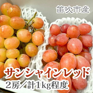 �y�ӂ邳�Ɣ[�Łz�y2026�N��������s�\��z�R�����Y�T���V���C�����b�h2�[(���v1kg���x) �ӂ邳�Ɣ[�� �Ԃǂ� �J���s ���Y �l�C ���Ԍ��� �ʕ� �t���[�c �{ �R���� �������� 229-010