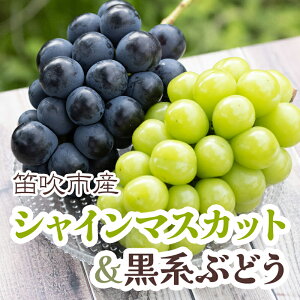 yӂ邳Ɣ[Łz25Ny2026Ns\zVC}XJbg&nԂǂ e1[(2[v1kgx) ӂ邳Ɣ[ Ԃǂ VC}XJbg Js Y lC Ԍ ʕ t