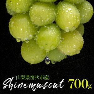yӂ邳Ɣ[Łz25Ns\ VC}XJbg 1[ 700g RJsY ӂ邳Ɣ[ Ԃǂ VC}XJbg Js Y lC Ԍ ʕ t[c { R  2