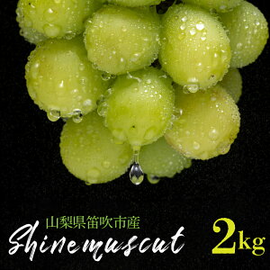 yӂ邳Ɣ[ŁzVC}XJbg 2kgȏ RJsY ӂ邳Ɣ[ Ԃǂ VC}XJbg Js Y lC Ԍ ʕ t[c { R  235-003